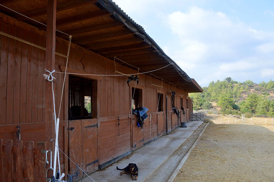 Our stables near Lysos