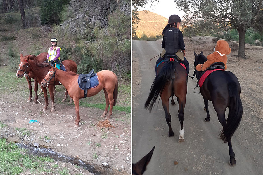 Two photos of horses in the forest and riding with Teddy